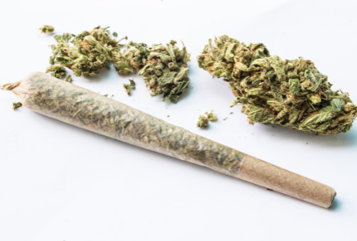 Greendoor Pre roll